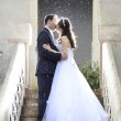 Photo of a bride and groom's first kiss.