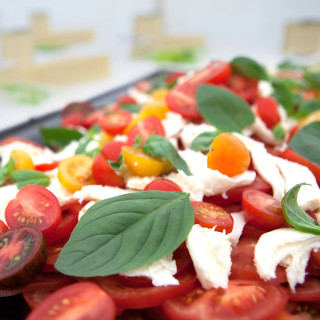 Photo of a tomato and mozzarella platter at an event catered by Beetham Food.